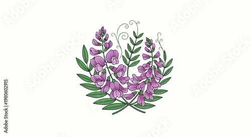 Hand-drawn illustration of purple sweet pea flowers and green leaves