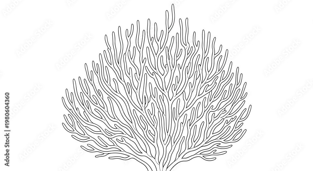 Fototapeta premium Detailed black and white line drawing of a large branching coral colony representing marine biodiversity for educational use.