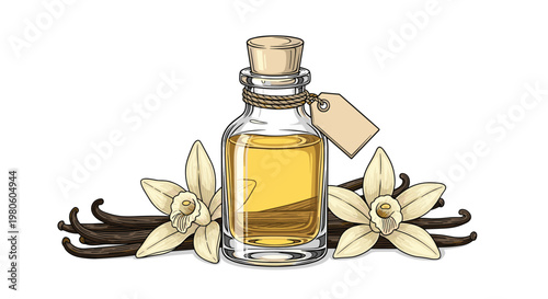 Elegant illustration featuring a glass bottle of amber vanilla essential oil accompanied by two white vanilla orchids and several dark vanilla beans.