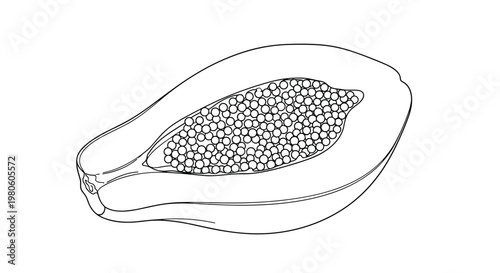 Minimalist black and white line drawing of a papaya fruit sliced in half lengthwise to show its interior filled with numerous small round seeds.