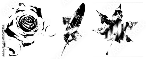 Black and white vector silhouettes of a rose, feather, and maple leaf with distressed textures, graphic design elements, isolated, halftone effects, minimalist art.