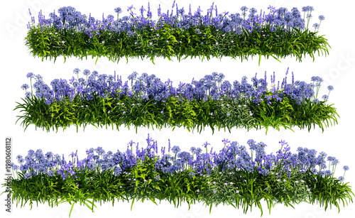 Flowers and shrubs in the garden on a transparent background.