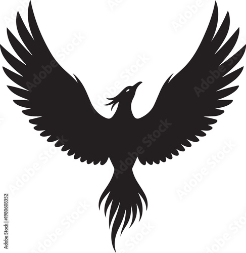 Black silhouette of a bird with wings spread white background