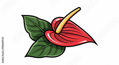 A vibrant red anthurium flower with glossy petals and two green leaves