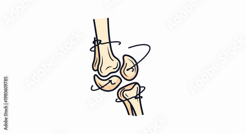 Hand-drawn anatomical sketch of human wrist bones with surgical sutures
