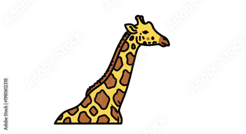 giraffe on white background