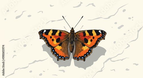 Detailed illustration of a vibrant orange butterfly with black and yellow markings perched on a textured, light-colored surface
