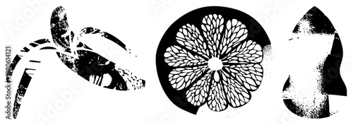 Three isolated graphic elements with distressed texture curved organic form, circular segmented, and angular silhouette. Vector art with halftone grain effect.