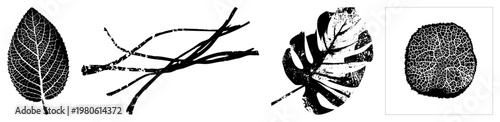 Black and white vector botanical elements including leaf veins, twig clusters, leaf shapes, and cracked surface textures. Ideal for eco design, graphic, and nature inspired.