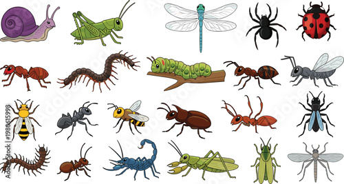 Collection of Various Insects Including Ant, Beetle, Spider, Dragonfly, Caterpillar, and Grasshopper, Detailed Cartoon Bug Set for Education and Nature Illustration