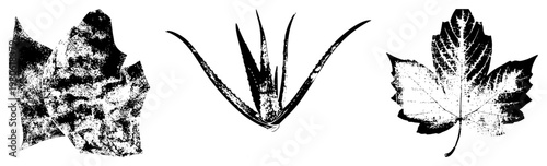 Aloe vera leaf, maple leaf, and textured foliage silhouette, halftone vector graphic, botanical illustration, nature motif, design.