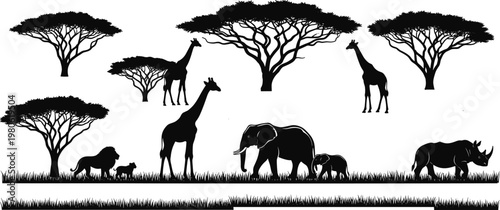 Photography African Safari Silhouette Scene with Wild Animals and Acacia Trees, Elephant, Gi