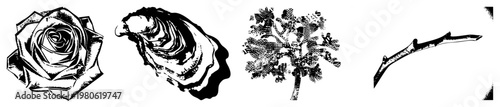 Stylized botanical and natural elements rendered in vector art rose petals, oyster, leafy tree, bare twig. Flat graphic design with halftone textures and clean.