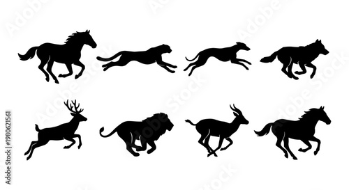 Running animals silhouette collection, 8 black vector icons of wild wildlife in motion, galloping horse and lion silhouettes for nature design