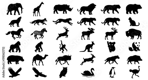 Wild animal silhouettes collection, 36 black fauna vector icons, zoo and safari wildlife set, nature and forest creature shapes for logo design