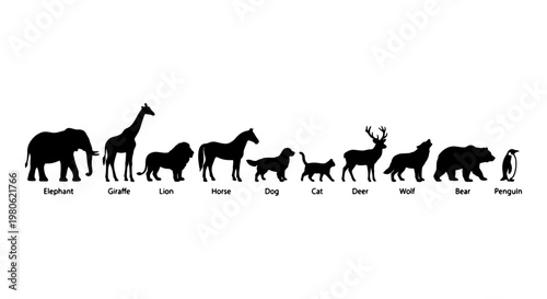 Black animal silhouettes set, collection of 10 wild and domestic animal icons, minimalist wildlife vector graphics for educational posters and logos