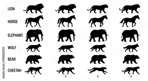 Animal walk cycle animation sprites, black silhouette wildlife movement frames, set of 24 vector icons featuring lion horse elephant wolf bear and cheetah