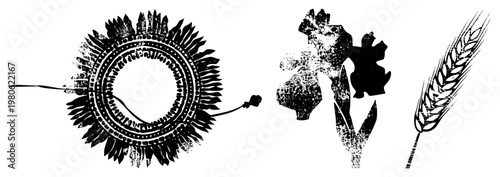 Distressed black botanical vector art, sunflower with detailed center, iris bloom, wheat stalk, textured grainy style, isolated graphic elements.