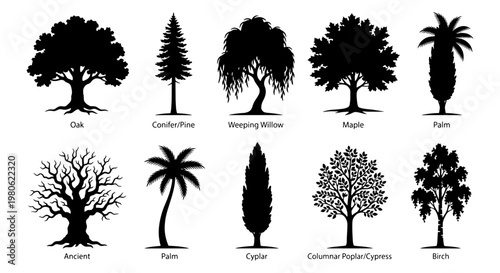 Black tree silhouettes collection, set of 10 botanical vector icons including oak, pine, and palm, minimalist nature elements for landscape design