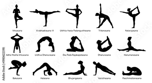 Yoga poses silhouette collection, 15 asana icons with Sanskrit labels, black female yoga figures for fitness and wellness design, vector set