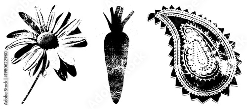 Black and white halftone illustrations of daisy, carrot, and paisley, graphic design elements, stylized botanical and ornamental motifs.