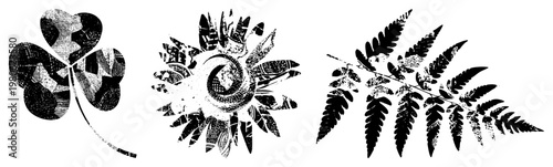 Clover, sunflower, fern rendered in bold black halftone, graphic design elements, nature motifs, vector art, isolated botanicals, vintage print style.