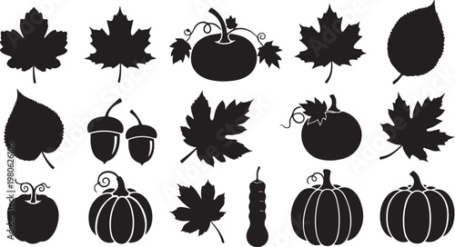 Autumn Leaves and Fruits Silhouette Icons Set for Designers
