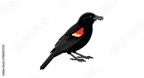 Black bird with red and yellow wing patches eating a green caterpillar