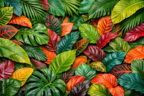 Colorful Tropical Leaves Background With Lush Rainforest Foliage