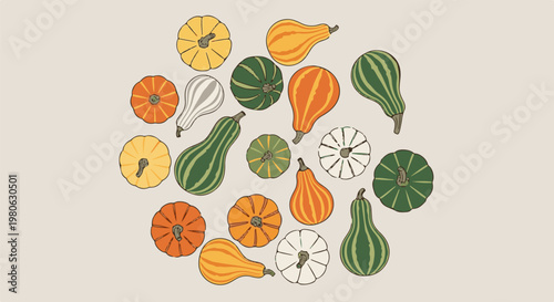 Assortment of decorative gourds in various shapes and colors scattered