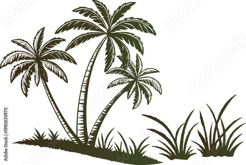 Palm Garden Tropical Landscape Illustration. Palm Tree Garden Nature Scene Design. Tal Bagan Palm Grove Illustration Design. Tropical Palm Garden Landscape Design. Palm Grove Garden Nature Design