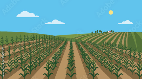 Extensive cornfield stretching towards a distant farmhouse nestled among trees under a bright sunny sky