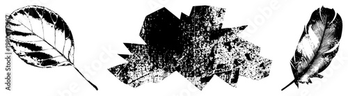 vector illustrations of leaf, textured paper, feather nature motifs, graphic design elements, artistic silhouettes, botanical and avian symbols.