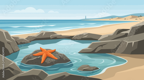Orange starfish resting on a rock in a tidal pool on a sandy beach with rocky coastline in a flat vector marine nature illustration