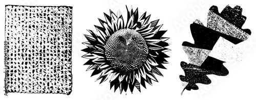 Black and white halftone vector designs featuring woven texture, sunflower center with radiating petals, and stylized oak leaf. Artistic print elements for graphic design, textiles, or illustration.