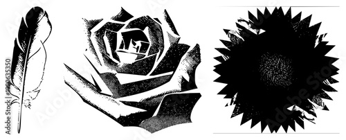 Stylized feather, rose, and sunburst in halftone, vector art. Graphic design elements for print or digital. Feathers, petals, and rays rendered with dot and sharp edges.