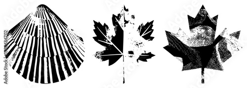Graphic design elements featuring stylized, maple leaf, and abstract foliage in black and white halftone, striped, and solid vector formats. Ideal for print, branding, or digital art.