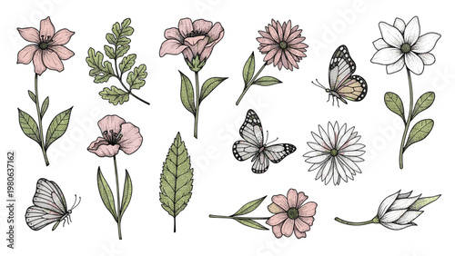 Botanical collection of hand-drawn flowers, leaves, and butterflies in soft pink and green tones is presented in a vintage engraved style.