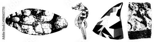 , seahorse, shark fin, and sea turtle rendered in bold halftone, vector graphics, marine life, isolated illustrations.