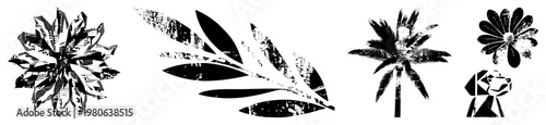 Stylized black and white and leaf motifs with halftone texture, graphic design elements, abstract botanical shapes, vector cutouts, isolated symbols.