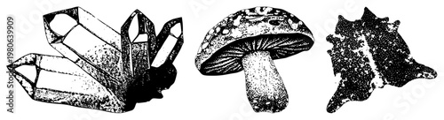 Black and white vector art of crystal cluster, spotted mushroom, and textured starfish, isolated on transparent background. Illustrative nature study, scientific or design.