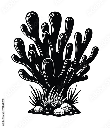 Vector of a underwater coral reef scene with shells and seaweed