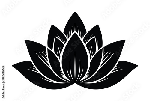 Vector of a beautifully symmetrical lotus flower with intricate petals