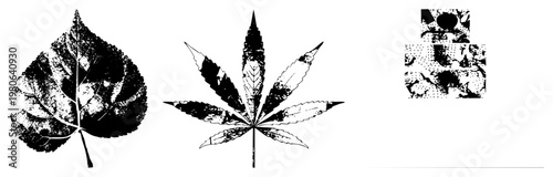 Graphic vector leaves rendered in halftone style, textured, isolated botanical designs, art, stylized foliage.