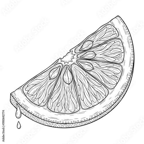 Fresh Citrus Fruit Slice with Juicy Detailing for Healthy Eating and Refreshing Drinks