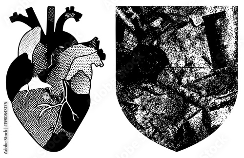 Medical heart diagram using dot, anatomical structures, black and white vector art, educational illustration, stylized organ rendering.