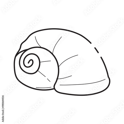 Minimalist Outline Vector Drawing of a Spiral Snail Shell