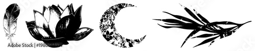 Stylized nature including feather, lotus, moon, and bamboo leaves. vector art with textured shading. Suitable for spiritual, wellness, or minimalist design.