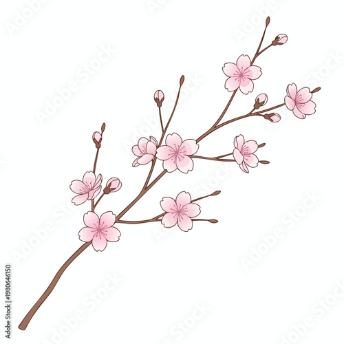 Delicate Cherry Blossom Branch Illustration for Spring or Nature Themed Designs