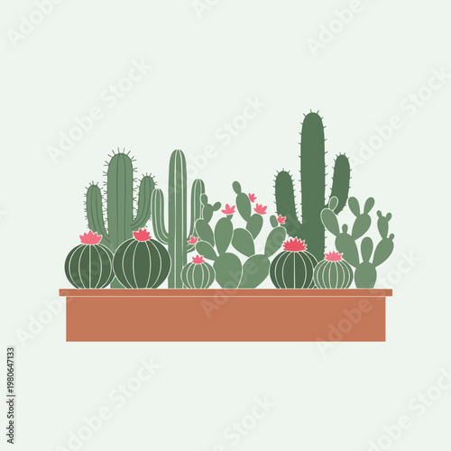 Beautiful Arrangement of Diverse Cacti and Succulents in a Decorative Plant Container